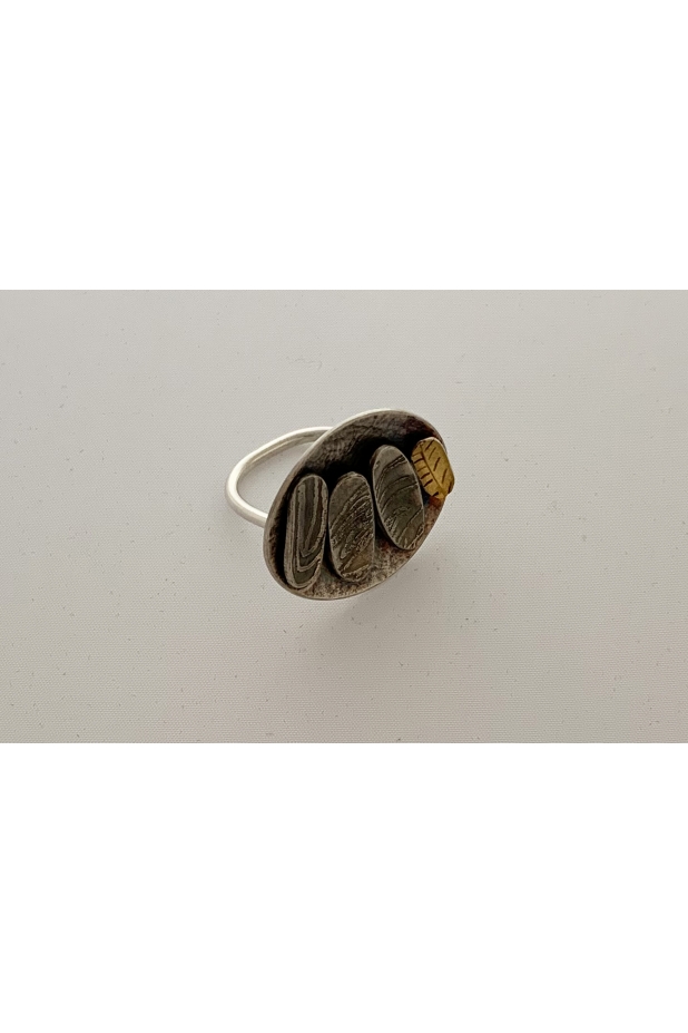 Silver and gold ring with patina.