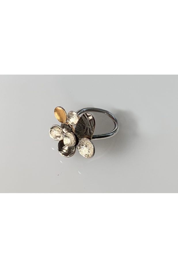 Silver and gold ring with patina.