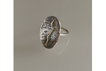 Silver and gold ring with patina.